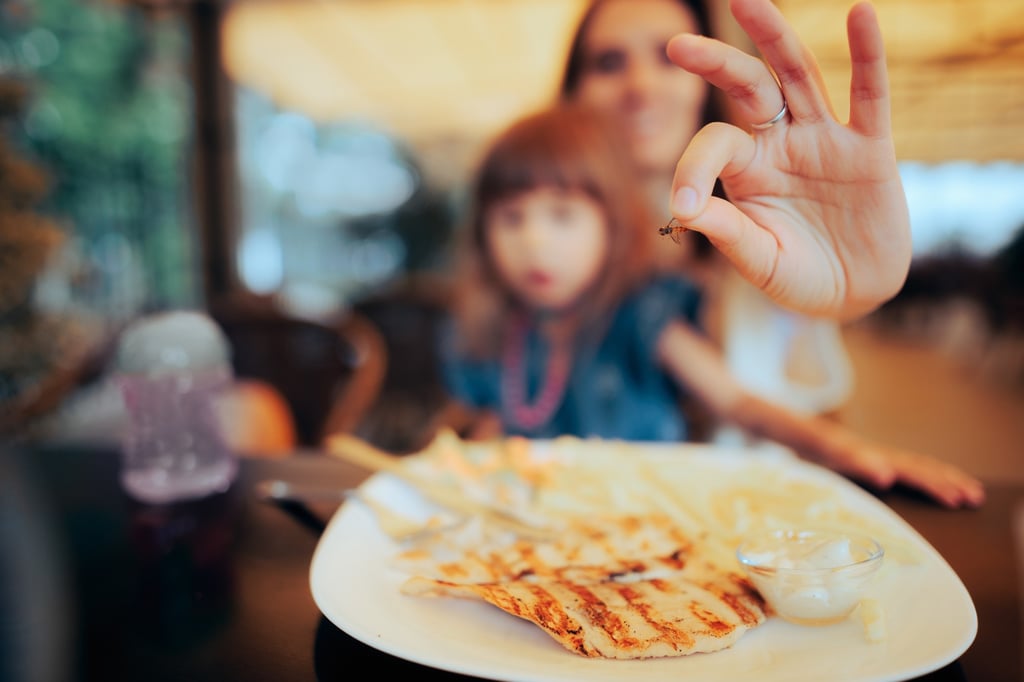 What do you do when you find a fly in your restaurant meal? Andrew Sun almost expects weird things in his food. Photo: Shutterstock